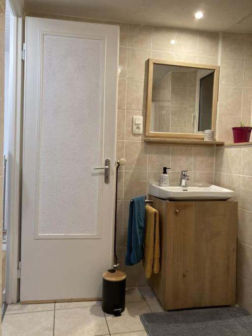 Villa Le Berger Du Salzbach à Romanswiller Extérieur photo