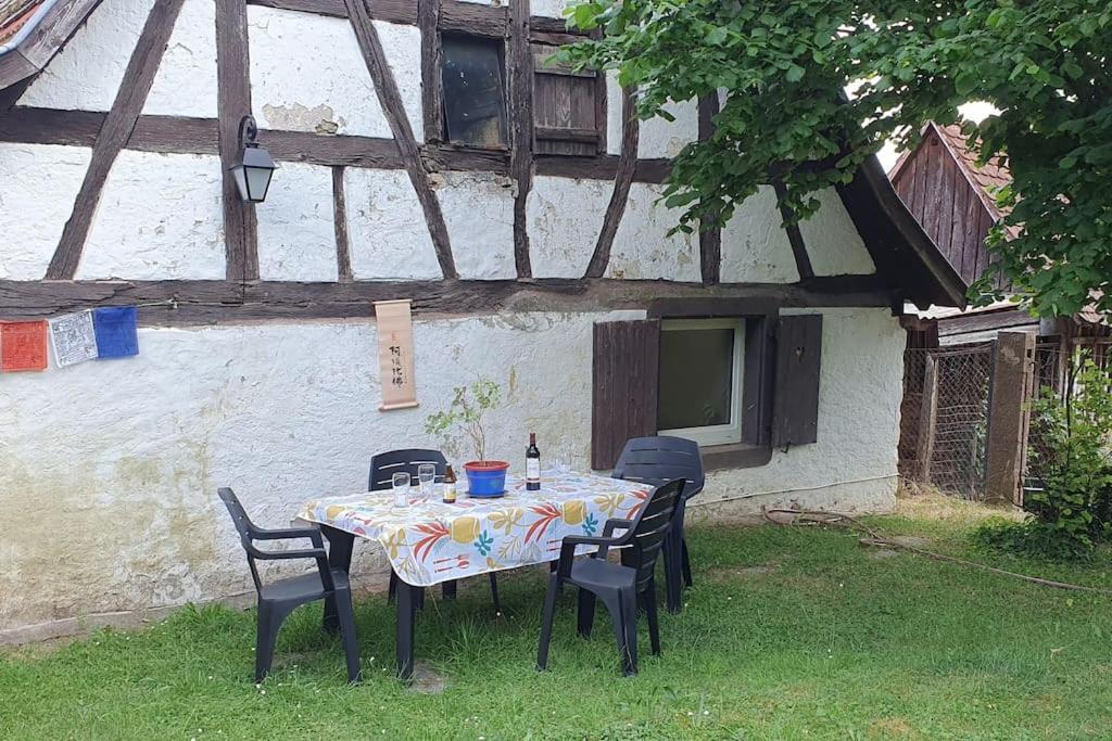 Villa Le Berger Du Salzbach à Romanswiller Extérieur photo